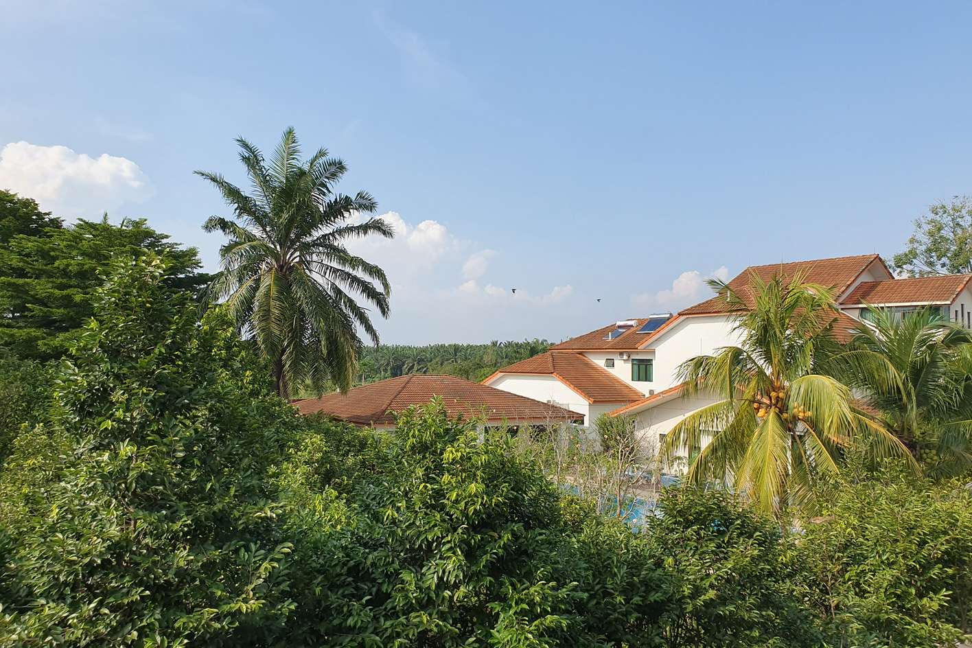 Prayer House Balcony View